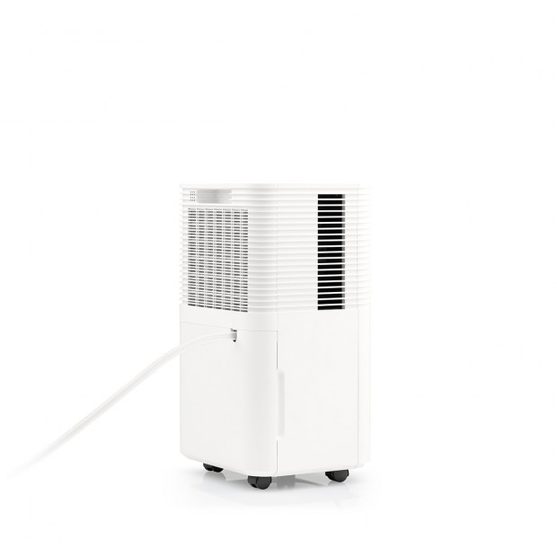 Desumidificador Digital 10L 1317FL